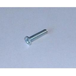 Petrol Tank Badge Screw - 83-1339.JPG