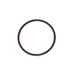 Flange O Ring 622 101.JPG